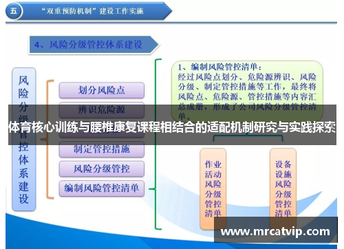 体育核心训练与腰椎康复课程相结合的适配机制研究与实践探索