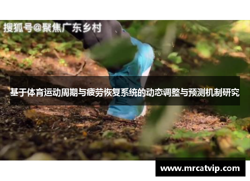 基于体育运动周期与疲劳恢复系统的动态调整与预测机制研究